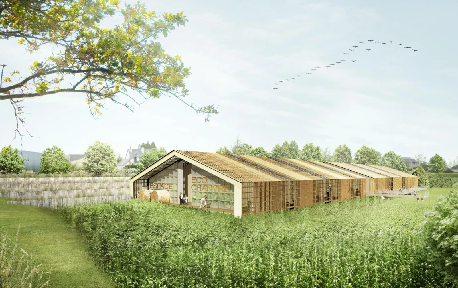 Atelier Loyer ARCHITECTE RENNES ATELIER LOYER 20 MAISON ECHO CHANVRE 3